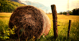 On August 12-19, the film school with the involvement of movie stars will be held in the Skalka, in the territory of the Student Recreation Complex of the Uzhhorod National University.